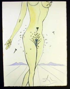 Salvador Dali - Dali Illustre Casanova - Ants, Nails & Flies on Nude