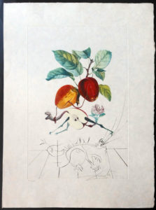Salvador Dali - FlorDali (Les Fruits) - FlorDali Apple