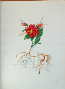 Salvador Dali - Flora Dalinae (FlorDali) - Dahlia Unicornis