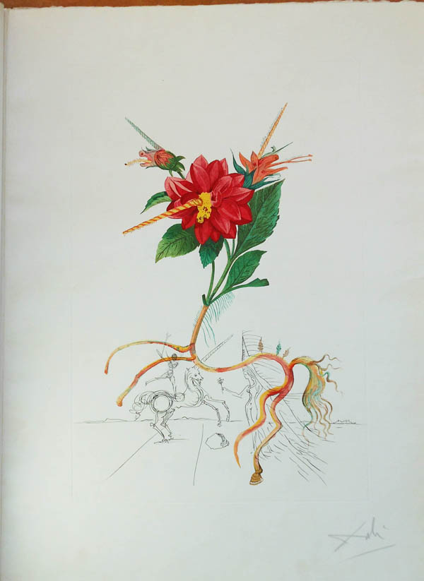 Salvador Dali - Flora Dalinae (FlorDali) - Dahlia Unicornis