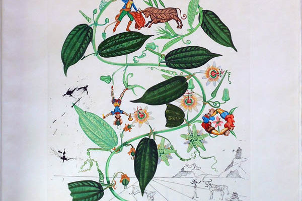 Salvador Dali - Flora Dalinae (FlorDali) - Passiflora Laurigera(Le Vine, Passion Flower)