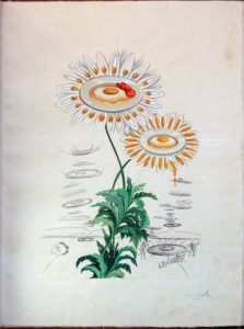 Salvador Dali - Flora Dalinae (FlorDali) - Chrysanthemium Fretescens (Marguerite)
