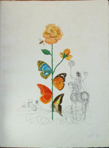 Salvador Dali - Flora Dalinae (FlorDali) - Rosa Papillonaea (Butterfly Rose)