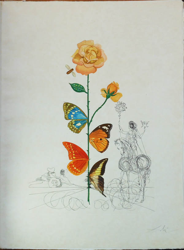 Salvador Dali - Flora Dalinae (FlorDali) - Rosa Papillonaea (Butterfly Rose)