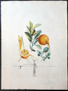 Salvador Dali - FlorDali (Les Fruits) - FlorDali Grapefruit