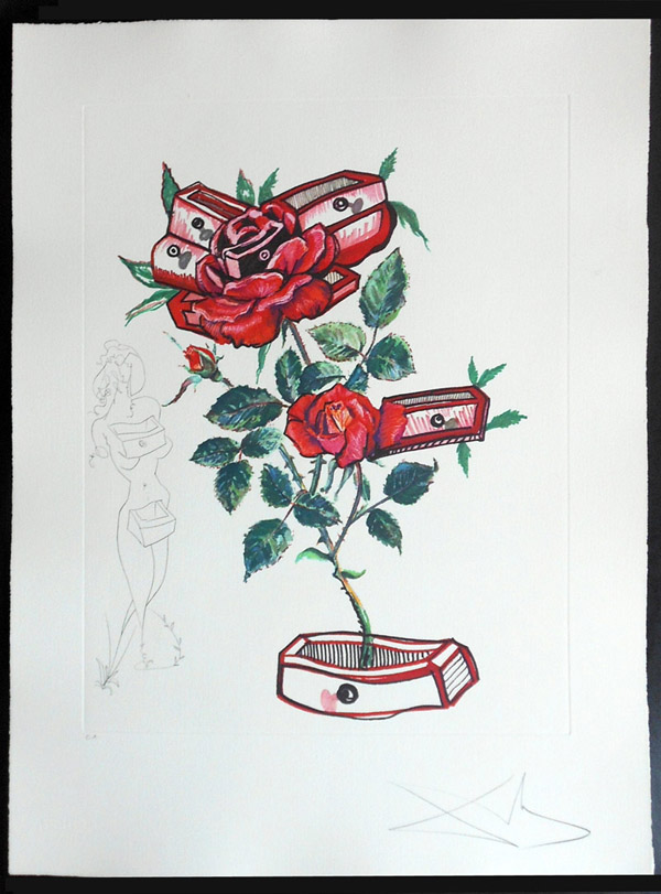 Salvador Dali - Surrealist Flowers, Florals - Rose + Drawers, L